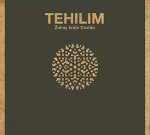 Tehilim: Žalmy krále Davida (recenze CD)