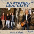 Bluesberry: Blues je třeba (recenze CD)