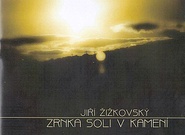 Jiří Žižkovský: Zrnka soli v kamení (recenze CD)