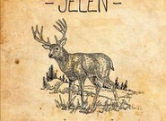 Jelen: Světlo ve tmě (recenze CD)