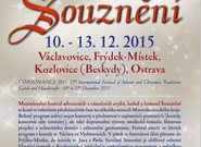 Souznění 2015