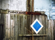 Plachý host (recenze CD)