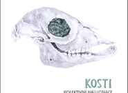 Kolektivní halucinace – soutěž o CD Kosti