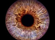 Ondřej Gregor Brzobohatý vydá album Universum