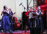 Czech Music Crossroads se letos zaměří na Rakousko