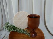 Okruhy otázek do Proglasa 19. dubna 2026