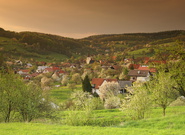 Obrázky z Jasenné