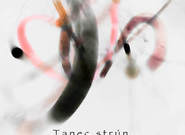 Miriam Kaiser Trio: Tanec strún (recenze CD)