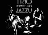 Roman Pokorný představí Trio komorního jazzu