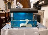 Opava poprvé prožila posvátnou atmosféru čtení z Bible, popsal organizátor