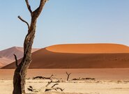 Archeologové objevili ve Spojených arabských emirátech klášter starší než islám