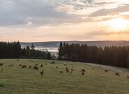 Očekávané události pro pátek 21. listopadu 2025