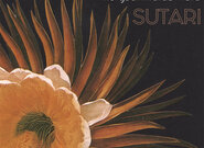 Polské trio Sutari vydalo album ukolébavek