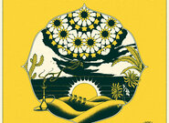 Hudební kompas – kompilace Middle Eastern Grooves