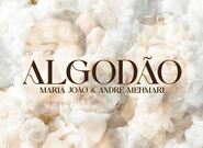 Hudební kompas: Maria João a André Mehmari