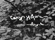 Cerys Hafana z Walesu vydává nové album Angel