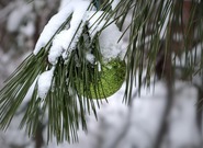 Z očekávaných událostí v pondělí 15. prosince 2025