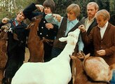Poslechněte si příběh alba Pet Sounds po 60 letech