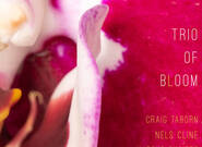Taborn, Cline, Gilmore – Trio Of Bloom v Synkopách na kanapi